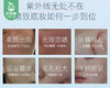 【预售-6月3日配送】eLL美白防晒素颜霜/1瓶（30g）限用日期 29年5月 商品缩略图3