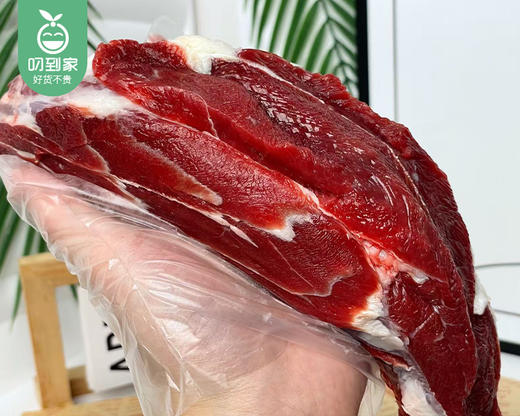 鹭臻鲜黄牛鲜牛腱（冷藏）/1份（约500g±15g） 商品图3