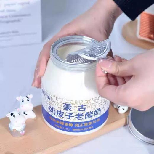 赛汗苏650g奶皮子老酸奶 商品图2