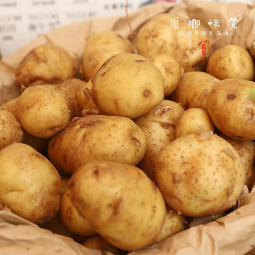 生态老品种小土豆（基地直发-中通包邮）| 1.5kg/2.5kg，来自湖北咸宁，生产者：沈师杰【合作生产，公平贸易】 商品图4