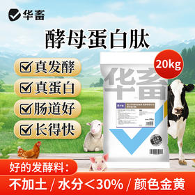 华畜酵母蛋白肽20kg提高饲料转化率