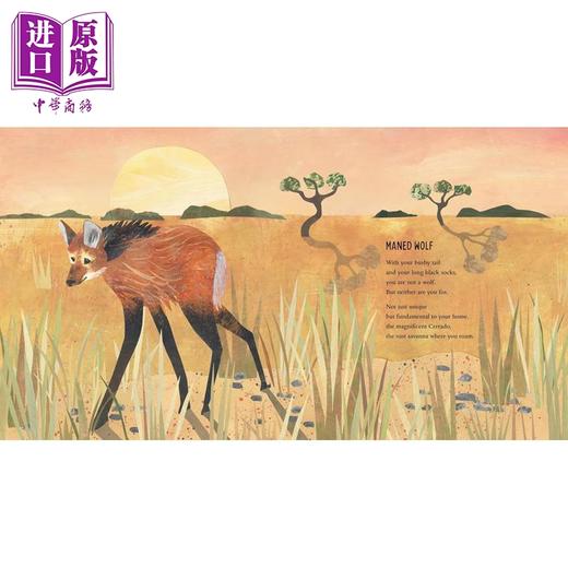【中商原版】秘境边缘 地球奇妙生灵 At the Edge Curious Creatures of Planet Earth 英文原版 儿童动物绘本 进口童书 精装 商品图3