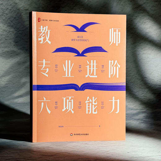 教师专业进阶六项能力 大夏书系 教师专业发展 钟建林 商品图3