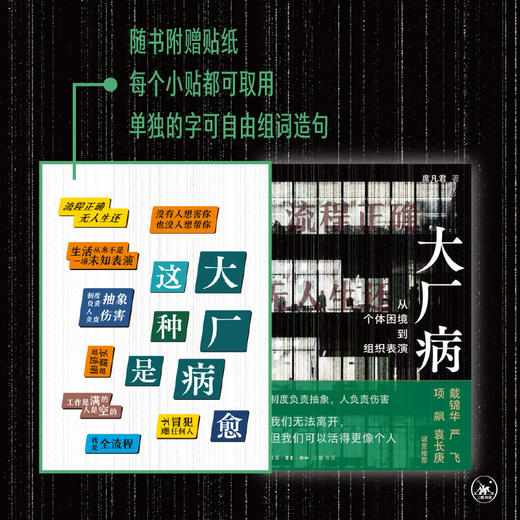 【6月1日现货】大厂病：从个体困境到组织表演 商品图1