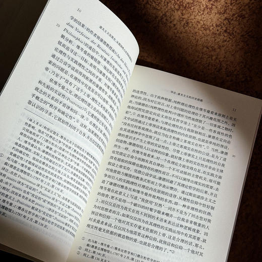 虚无主义发展史 从德国唯心论到海德格尔 德国唯心论 西方形而上学 商品图8