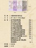 【端午节礼】诸老大五瑞鸿熹枕头粽礼盒｜4甜粽4咸粽，口味丰富，搭配咸蛋、绿豆糕更添风味，限定收纳包及茉莉花茶 商品缩略图4