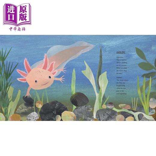 【中商原版】秘境边缘 地球奇妙生灵 At the Edge Curious Creatures of Planet Earth 英文原版 儿童动物绘本 进口童书 精装 商品图1