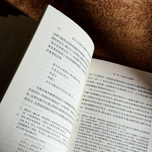 虚无主义发展史 从德国唯心论到海德格尔 德国唯心论 西方形而上学 商品图10