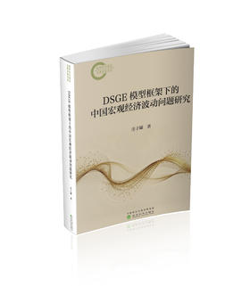 DSGE模型框架下的中国宏观经济波动问题研究