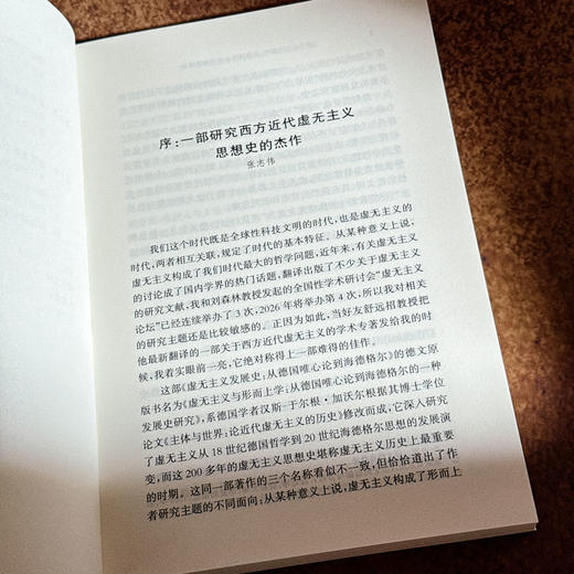 虚无主义发展史 从德国唯心论到海德格尔 德国唯心论 西方形而上学 商品图7