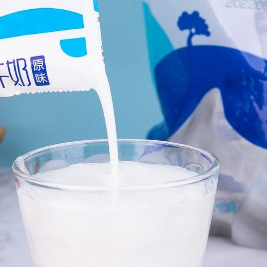 三元100g*10大包酸牛奶(原味) 商品图8