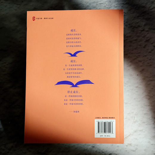 教师专业进阶六项能力 大夏书系 教师专业发展 钟建林 商品图2