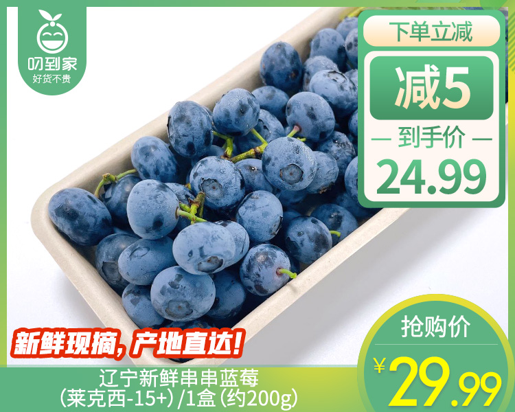 辽宁新鲜串串蓝莓（莱克西-15+）/1盒（约200g）