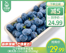 辽宁新鲜串串蓝莓（莱克西-15+）/1盒（约200g）