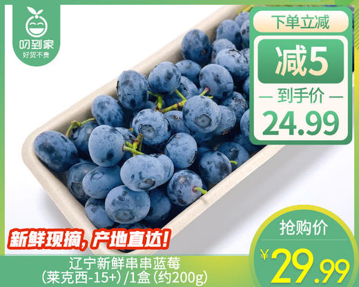 辽宁新鲜串串蓝莓（莱克西-15+）/1盒（约200g） 商品图0