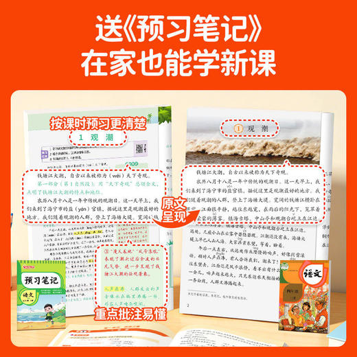 2026阳光同学暑假衔接预习作业人教版小学一升二升三升四升五升六年级语文数学英语全套暑假作业赠预习笔记 商品图2