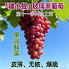 疆小提玻璃翠葡萄 无籽连皮吃脆甜多汁 新鲜水果 新疆基地鲜采 2026新果 商品缩略图2
