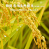 上新【谦益】香畴糙米谷粒酥188g  自有基地种植糙米  米香浓郁 香酥可口 甜而不腻 商品缩略图2