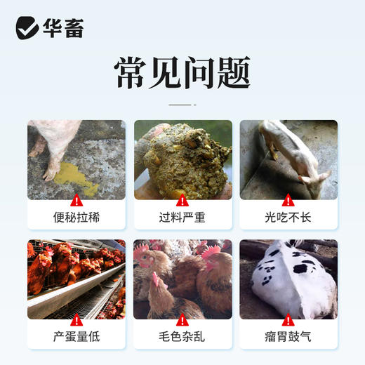 华畜酵母蛋白肽20kg提高饲料转化率 商品图1