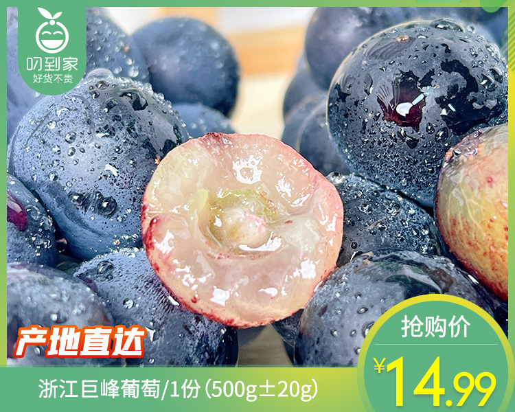 浙江巨峰葡萄/1份（500g±20g）
