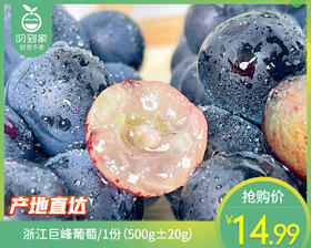 浙江巨峰葡萄/1份（500g±20g）
