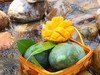 彩虹芒（礼盒装）四川攀枝花芒果新鲜孕妇水果现货9斤包邮 商品缩略图4