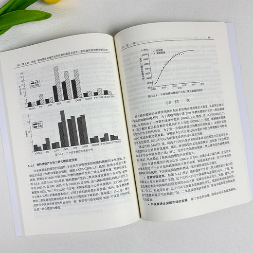 非线性灰色伯努利模型及其应用 张涛 9787030839077 商品图5