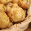 生态老品种小土豆（基地直发-中通包邮）| 1.5kg/2.5kg，来自湖北咸宁，生产者：沈师杰【合作生产，公平贸易】 商品缩略图2