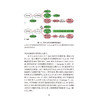 肿瘤预防与早期发现 第2二版 陈万青 曾强 主译 详细讨论HTK1免疫组织化学在临床癌症患者预后评估中的实施应用 人民卫生出版社 商品缩略图4