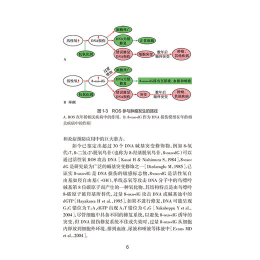 肿瘤预防与早期发现 第2二版 陈万青 曾强 主译 详细讨论HTK1免疫组织化学在临床癌症患者预后评估中的实施应用 人民卫生出版社 商品图4