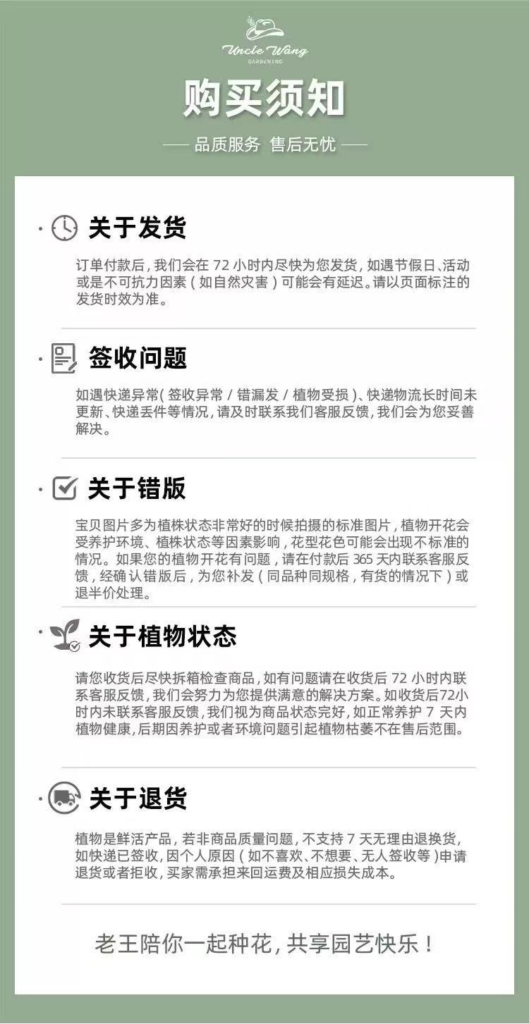 描述12.jpg