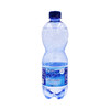 聚便利 X 山姆 意大利进口 阿尔卑斯山充气天然矿泉水 500ml*1 商品缩略图0