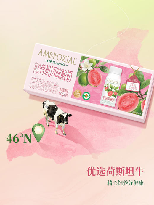 聚便利 X 山姆 AMPPOΣIAL红心芭乐有机风味酸奶 150g/瓶 商品图3