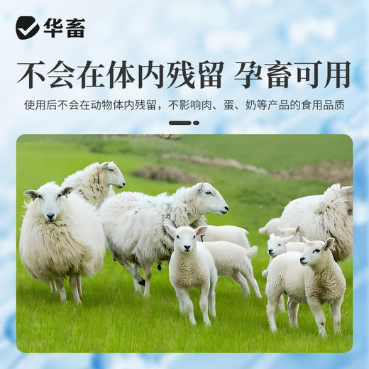 华畜液体石蜡500ml瘤胃积食 商品图1