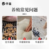 华畜液体石蜡500ml瘤胃积食 商品缩略图2