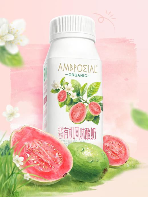 聚便利 X 山姆 AMPPOΣIAL红心芭乐有机风味酸奶 150g/瓶 商品图2