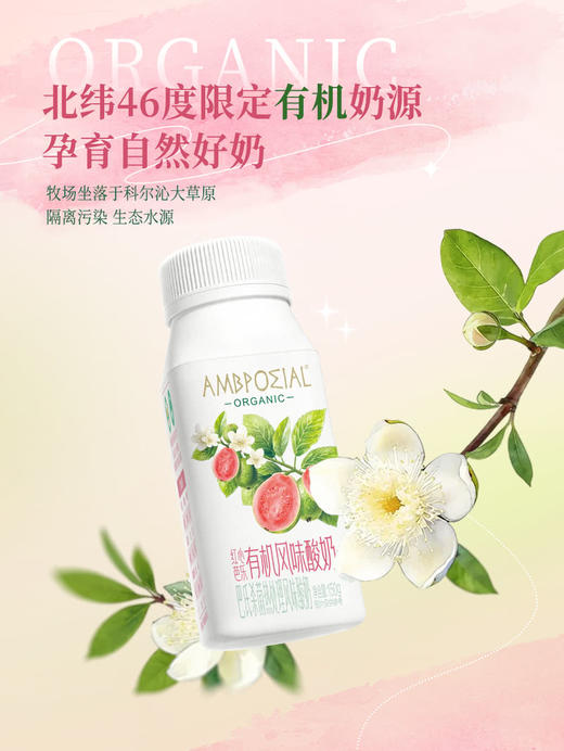聚便利 X 山姆 AMPPOΣIAL红心芭乐有机风味酸奶 150g/瓶 商品图1
