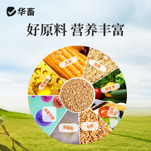 华畜 雏鸡饲料5.2斤实惠装  臻选原料 营养丰富 蛋白含量高长得快 双层防潮包装 商品图2