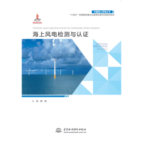 海上风电检测与认证（中国海上风电丛书）