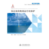 深远海风电场运行与维护 （中国海上风电丛书） 商品缩略图0