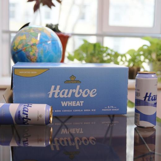 聚便利 x 山姆 HARBOE 德国进口 精酿小麦啤酒（浑浊型） 500ml/罐 商品图4