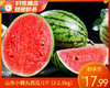 山东小糖丸西瓜/1个（2-2.5kg） 商品缩略图0