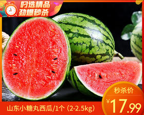 山东小糖丸西瓜/1个（2-2.5kg）