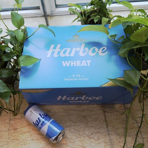 聚便利 x 山姆 HARBOE 德国进口 精酿小麦啤酒（浑浊型） 500ml/罐 商品图3