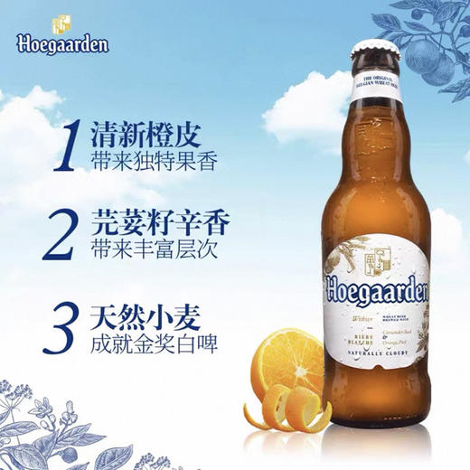聚便利 x 山姆 福佳 比利时进口 白啤酒 330ml/瓶 商品图1