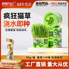 冒险与它猫草罐30g懒人猫草种植罐猫咪零食大麦苗化毛球猫猫零食 商品缩略图0