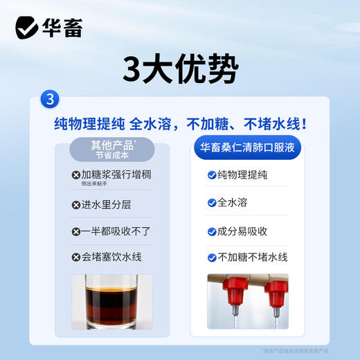 桑仁清肺口服液 商品图5