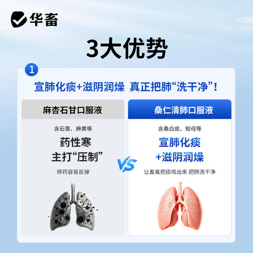 桑仁清肺口服液 商品图3