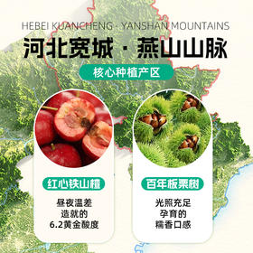 低Gi山楂板栗汉堡