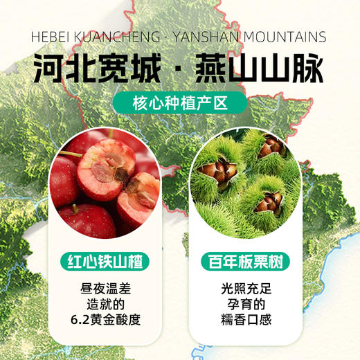低Gi山楂板栗汉堡 商品图0